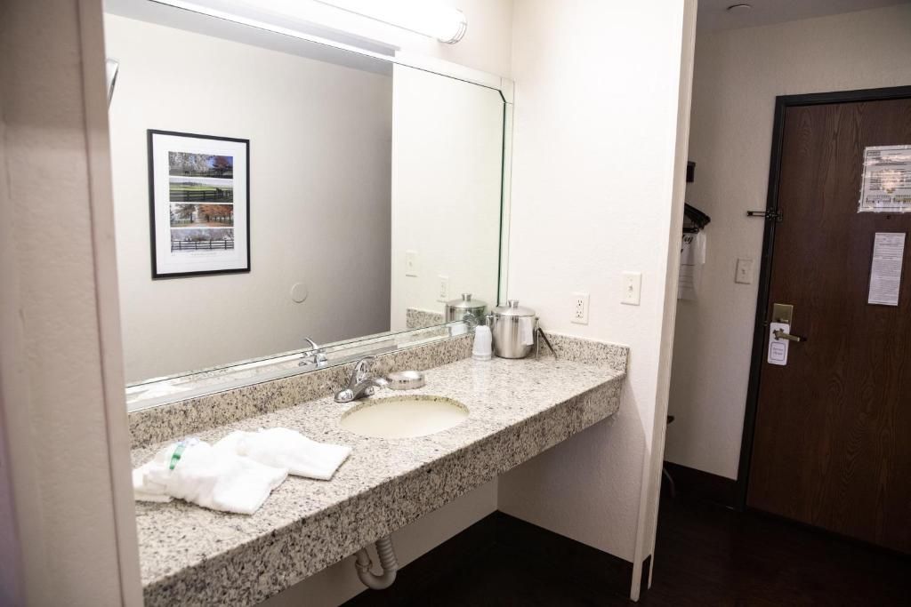 Modern bathroom vanity with granite countertop and large mirror.