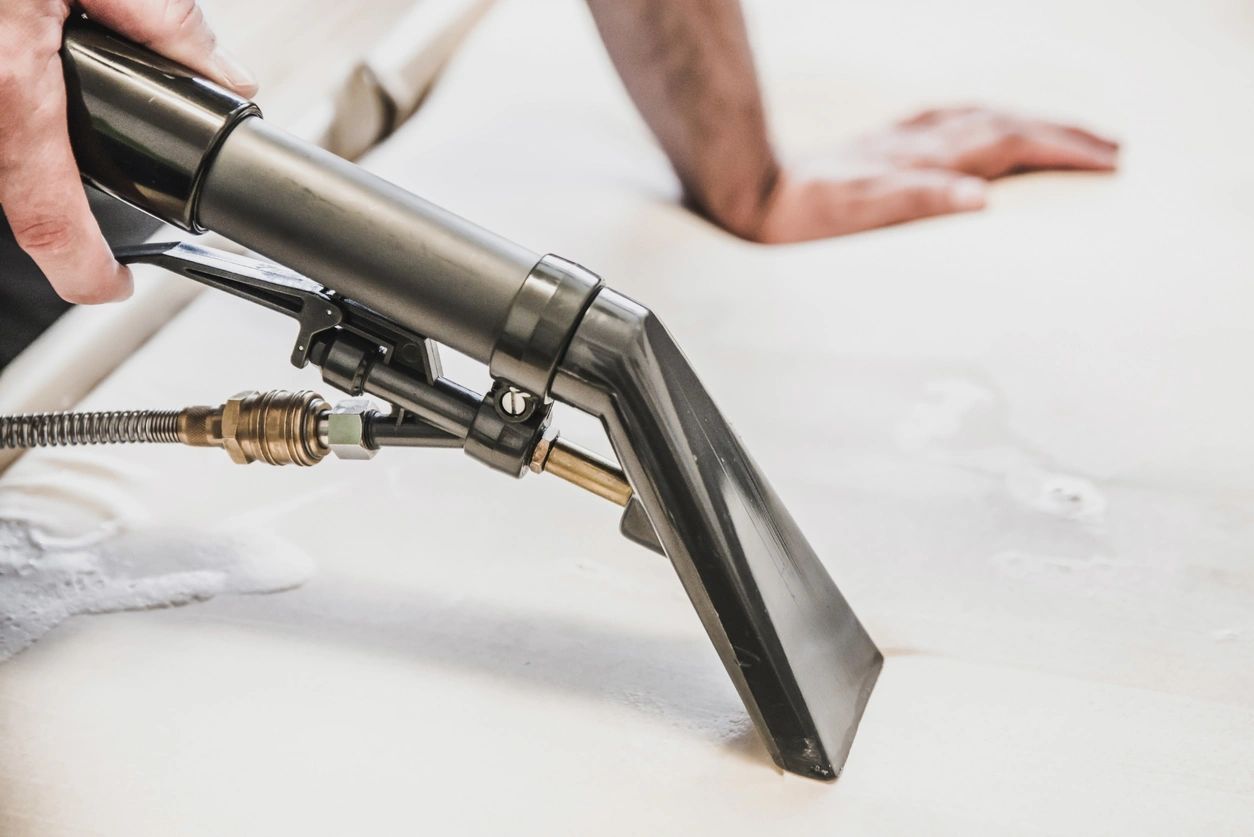 Carpet cleaning with a professional steam cleaner.